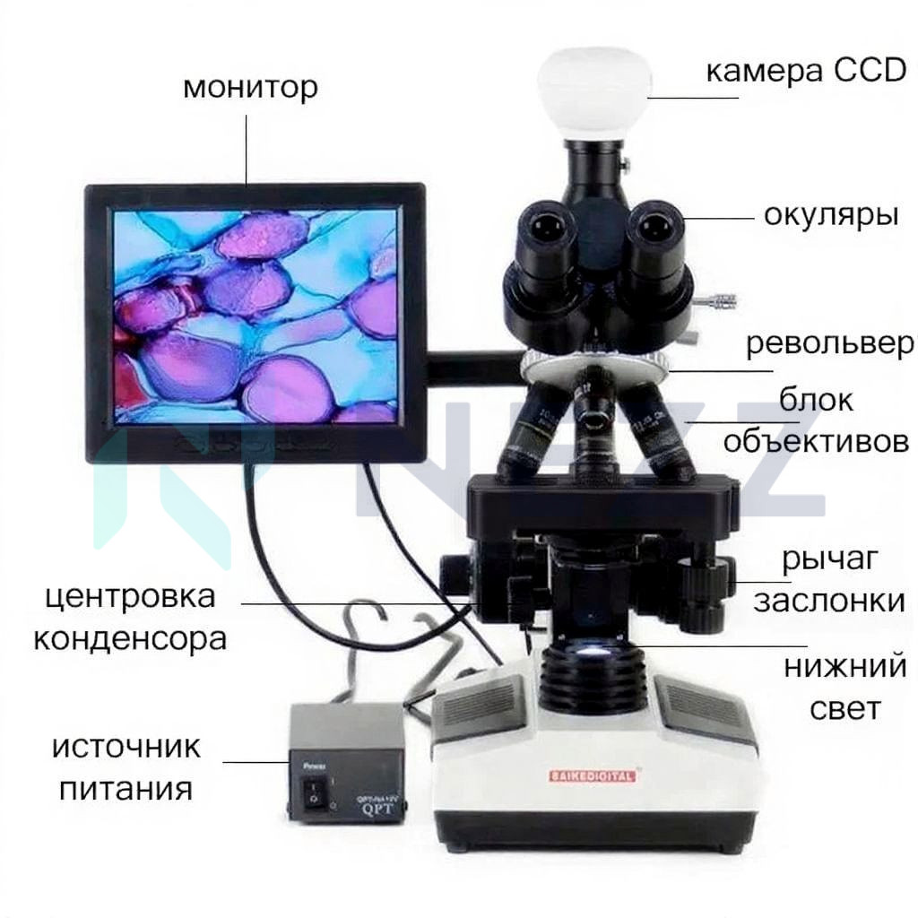 Цифровой тринокулярный биологический микроскоп SK2009H2 с камерой — изображение 8